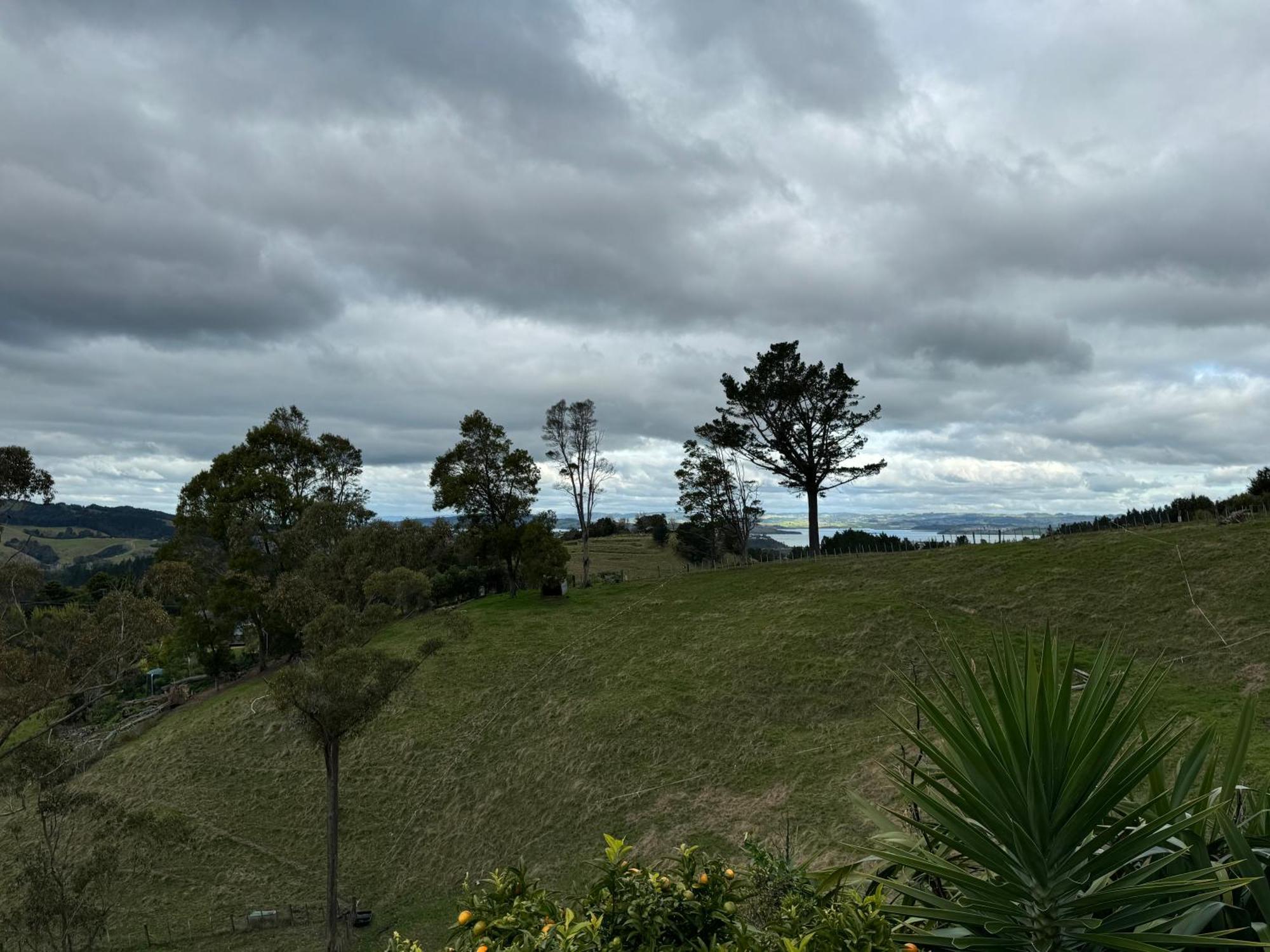 Private Cabin Close To The City Centre Whangarei Zewnętrze zdjęcie