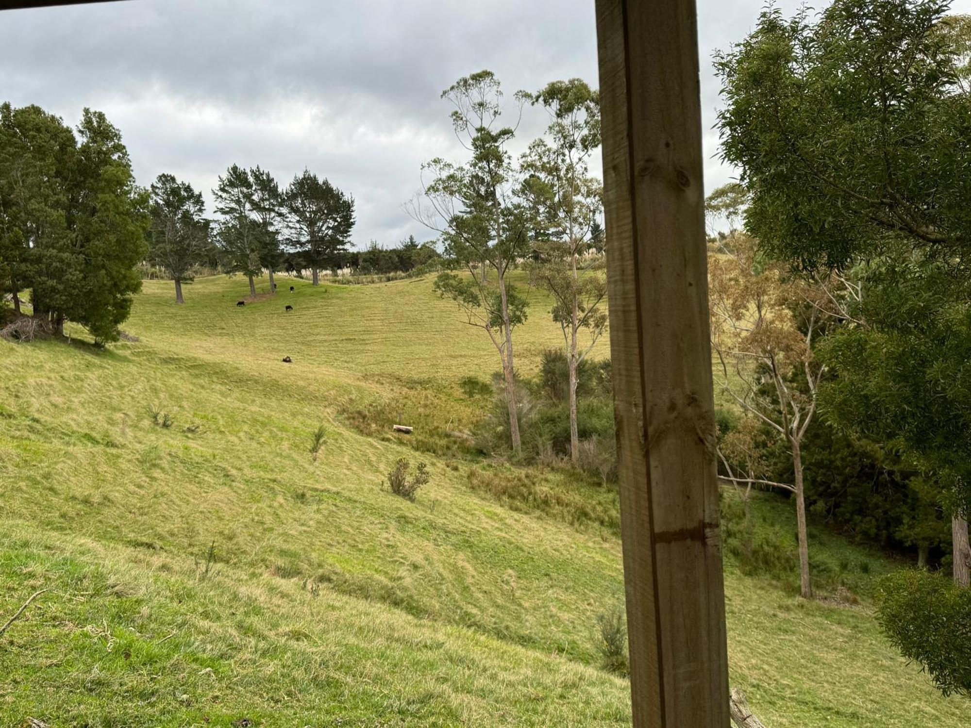 Private Cabin Close To The City Centre Whangarei Zewnętrze zdjęcie
